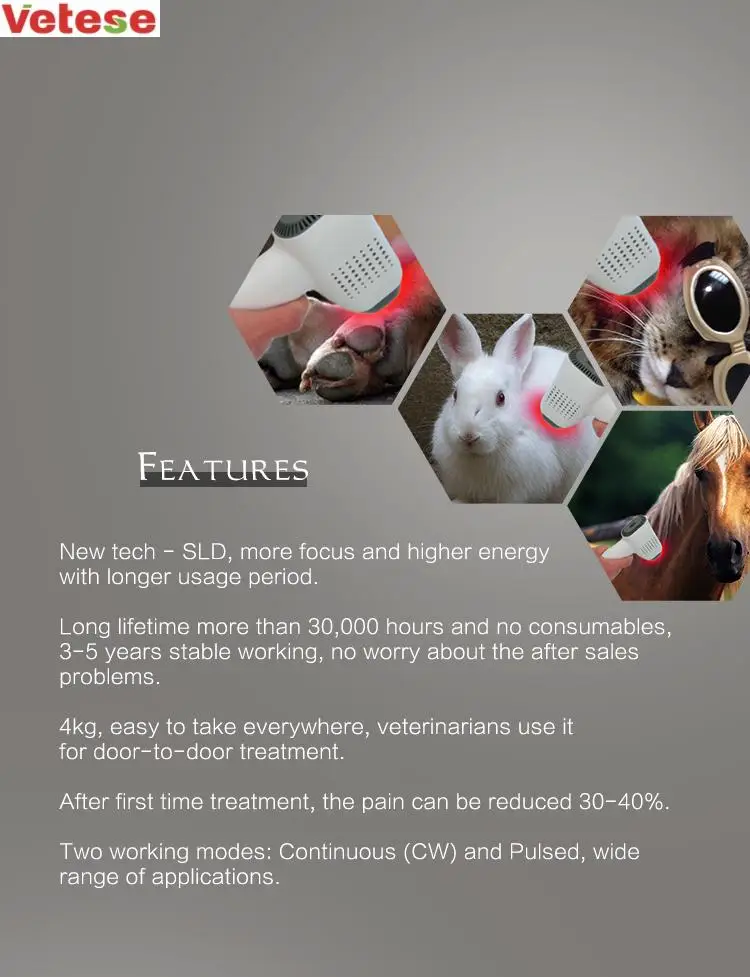 Veterinary Cold  Pain Relief Animal Wound Healing for Dogs Cats Horses Medical Physical class 4 Therapy Device