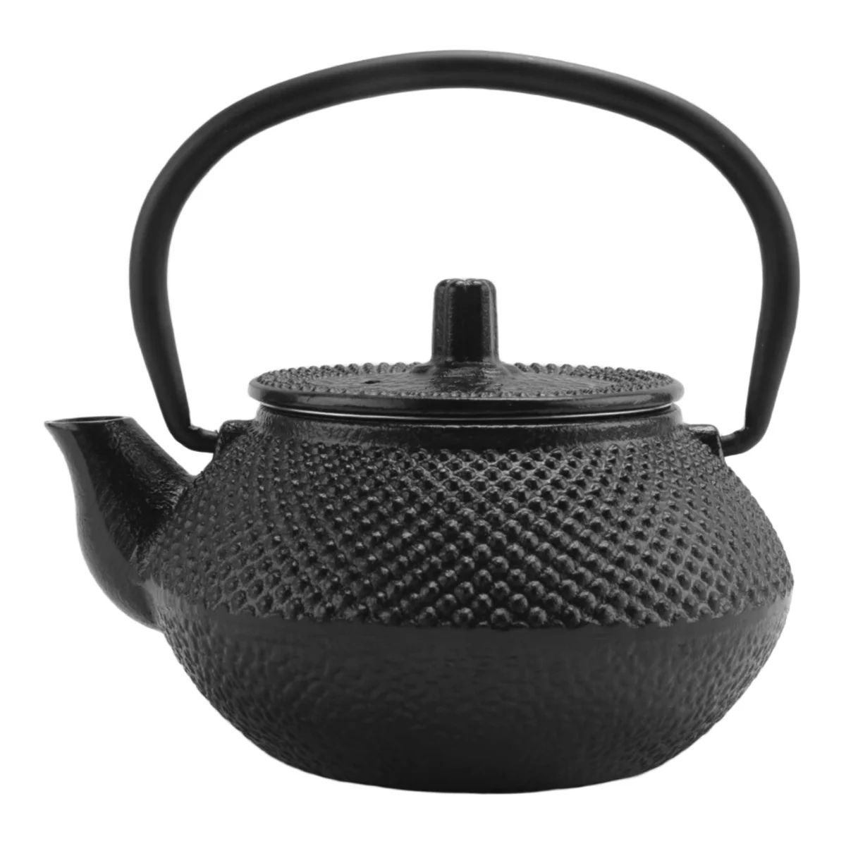 Iron Tea Pot with Stainless Steel Infuser Cast Japanese Iron Teapot Oolong Tea Puer Tea Tea Kettle 300ML