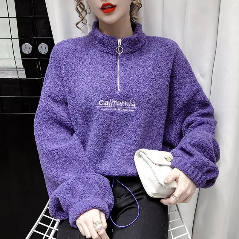 Lamb Wool Short High Collar Purple Hoodies Women Loose Korean Autumn Zipper Coat Embroider California Letters Sweatshirt Femme