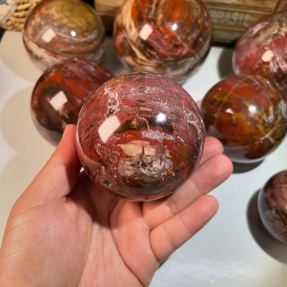 Natural Petrified Wood Sphere with Tree Ring Patterns for Home Decor Grounding Energy Specimen Witchcraft Healing Crystal Ball