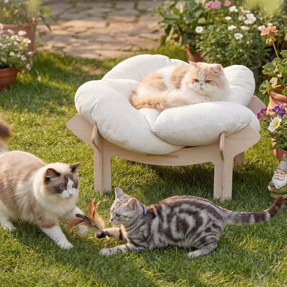 

Dog Supplies Pet Furniture And Beds Dog Bed 1Pc Large FlowerShaped Pet BedSolid Wood Base Removable Cushion For Cat Small DogMod