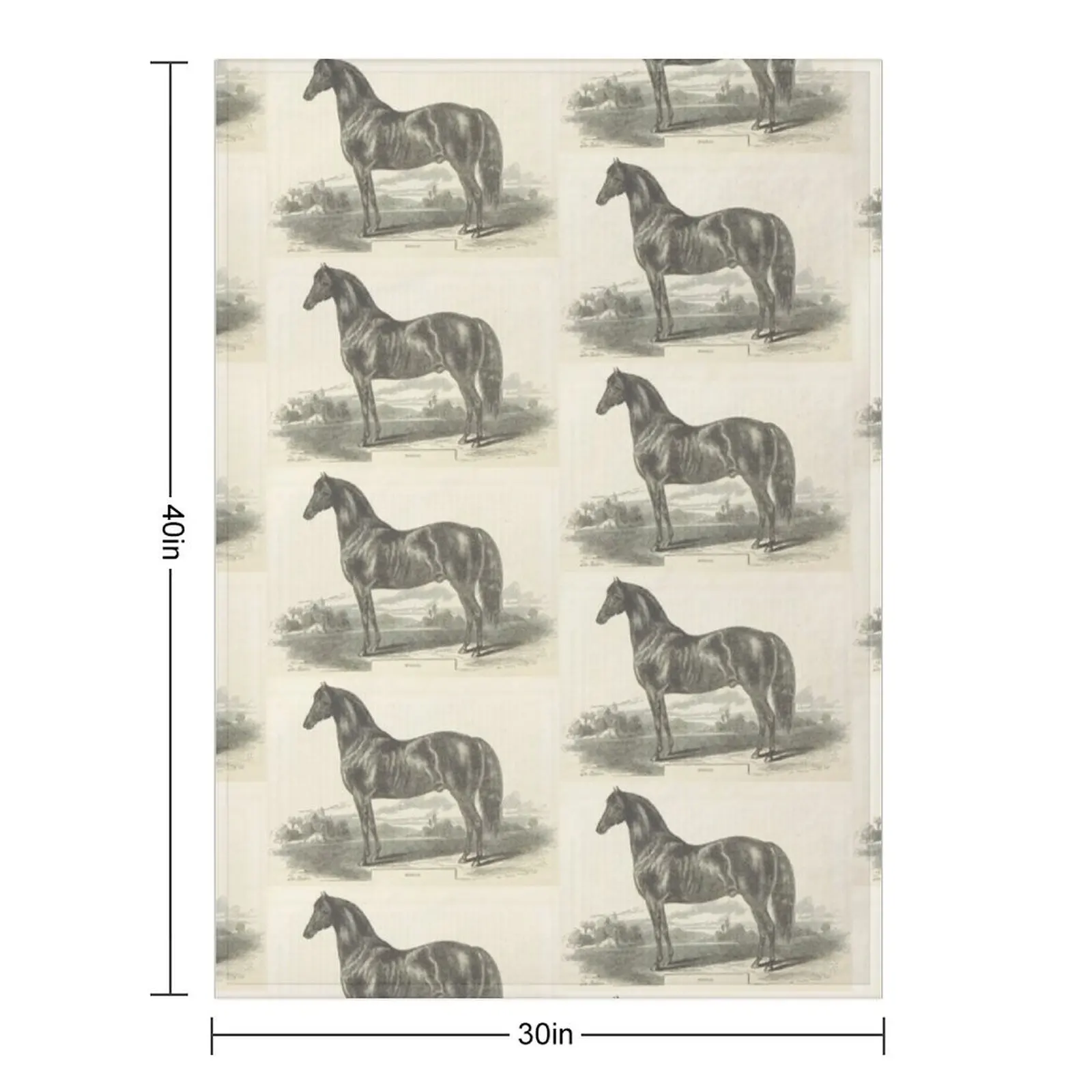 Vintage Morgan Horse Etching Throw Blanket Beautifuls Luxury Throw cosplay anime Large Custom Retros Blankets