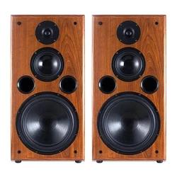 10 Inch Bookshelf Speaker 200W Monitor Speakers 8Ohm Bass Silk Film Tweeter F109 Speaker Fever Passive Sound Box 1Pc For Home