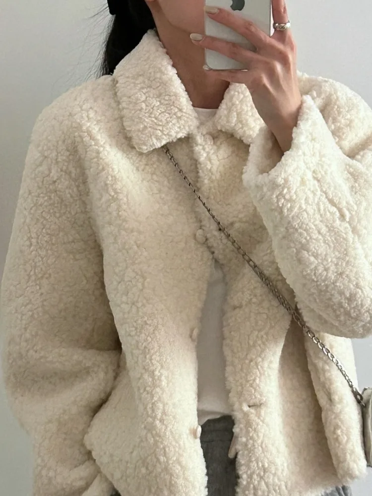 الشتاء Faion مكافحة الشيخوخة التلبيب زر واحد فرو الضأن ort Jaet المرأة الجديدة 2025 الكورية Sle فضفاضة تناسب محاكاة فرو الضأن