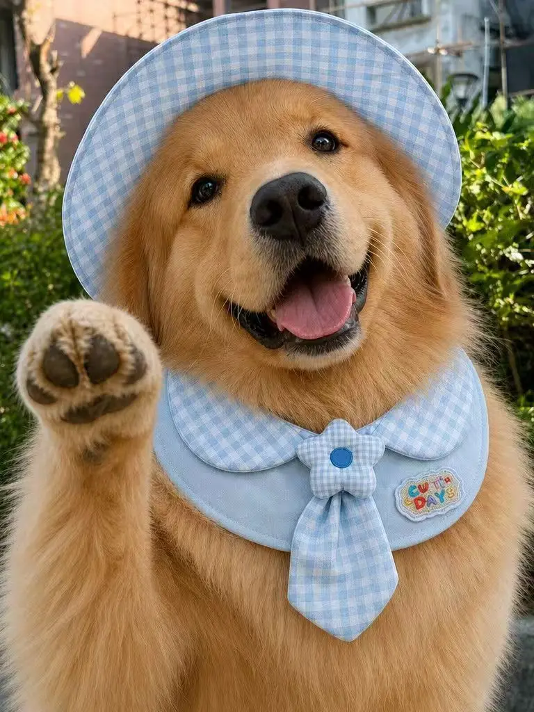 Pañuelo/Bandana para Perro de Primavera/Verano, para Perros Grandes, Medianos y Pequeños, como Saluki, Samoyed, Golden Retriever, Accesorios para Mascotas, Universal para las Cuatro Estaciones