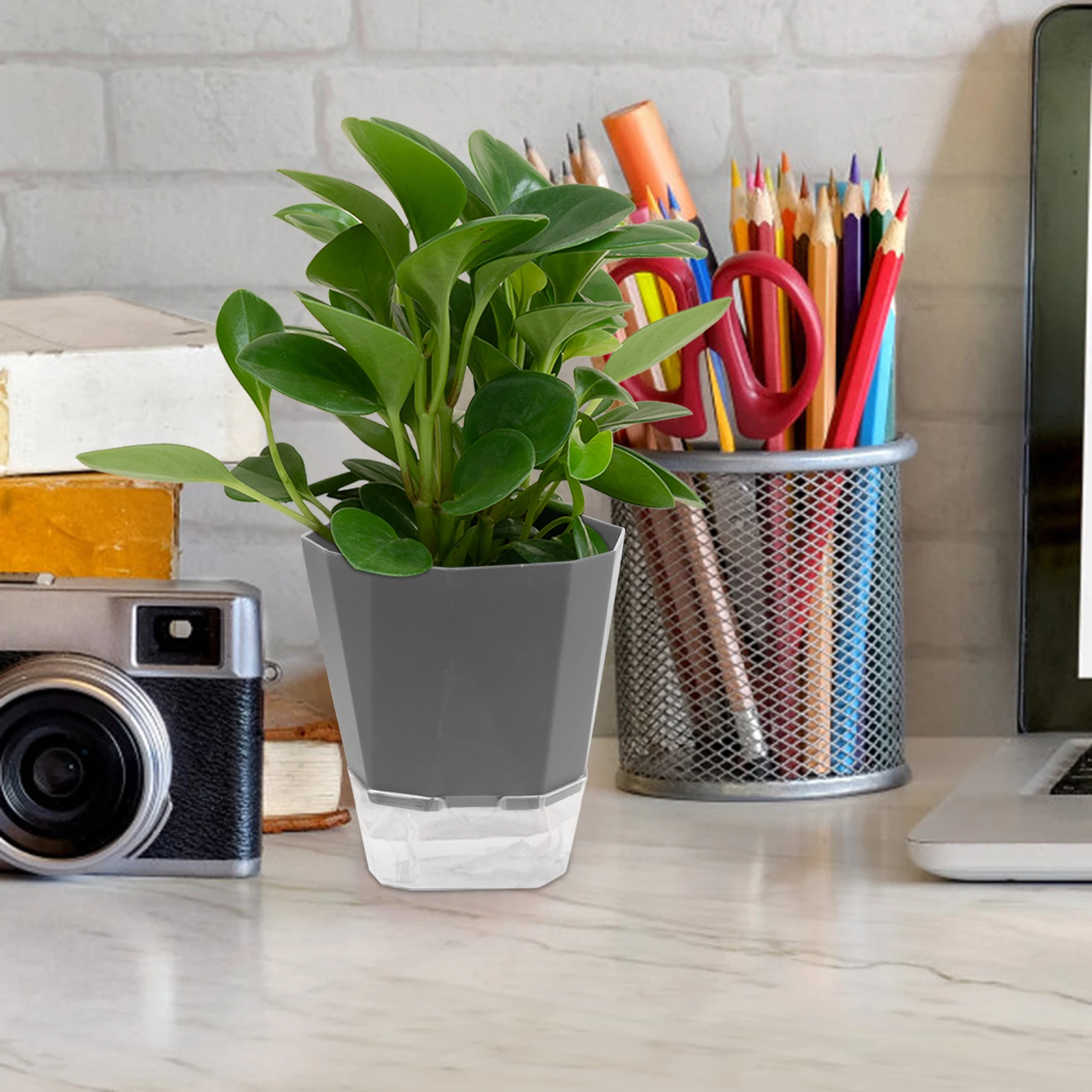 

Automatic Water Absorbent Flower Pot 3 Set Self Watering Planters Indoor Pots Transparent PET Bottom Plastic Durable Breakage