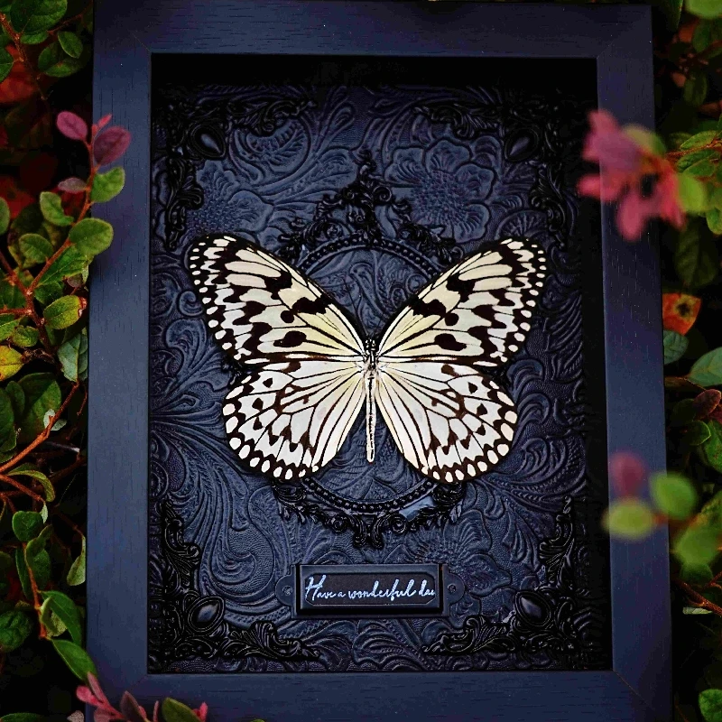 2054 Original Handmade Customized Gift Large Palmer Butterfly Specimen Home Decor Wall Art Christmas Gift Gothic Dark Style Art