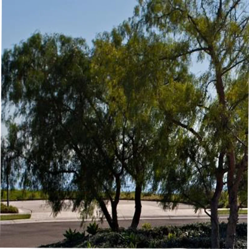 جديد 9 فولت 9700 مللي أمبير بطارية ليثيوم أيون قابلة للشحن مايكرو USB بطاريات 9 فولت ليثيوم لعبة ميكروفون متعدد التحكم عن بعد KTV استخدام #1