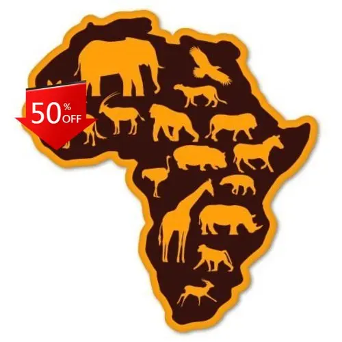 Wild Africa Funny Walls Camper Van Bumper Car Decoration Cool Aesthetic Unique