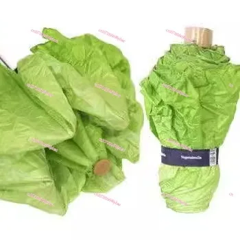 Unique Lettuce Umbrella, Making Money From Water, A Bright Spot in Rainy Days, Fashionable Personality, Interesting and