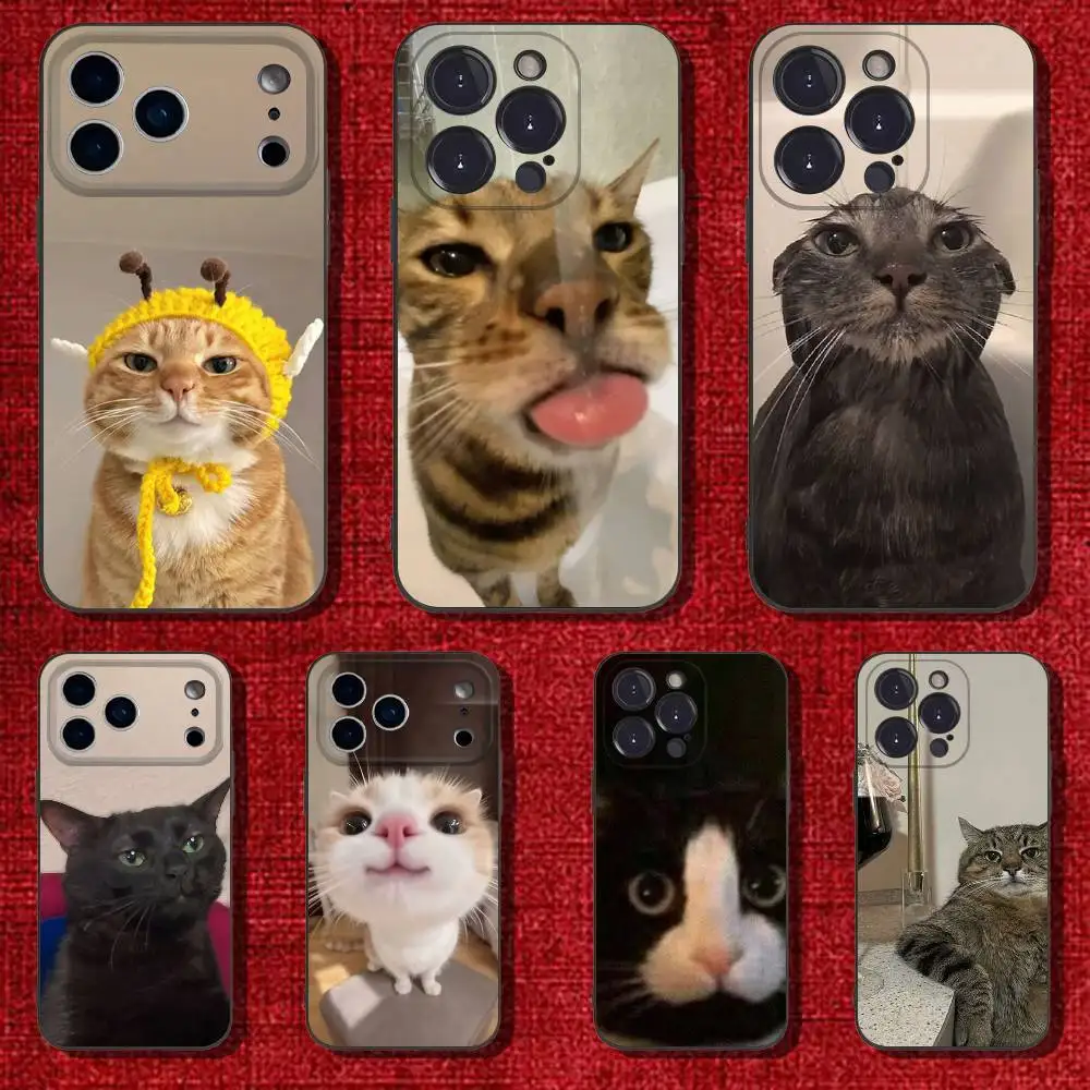 

Pet Cat Funny memes Phone Case For iPhone 17,16,15,14,13,12,Pro,Max,Plus,E,SE4,Air,Mini Black Soft Cover