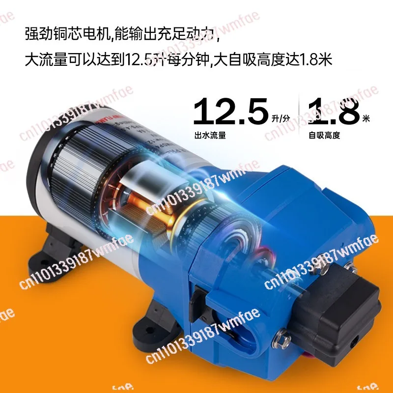 F41 Yacht Flush Pump RV Water Pump 12V Self-priming Marine Booster