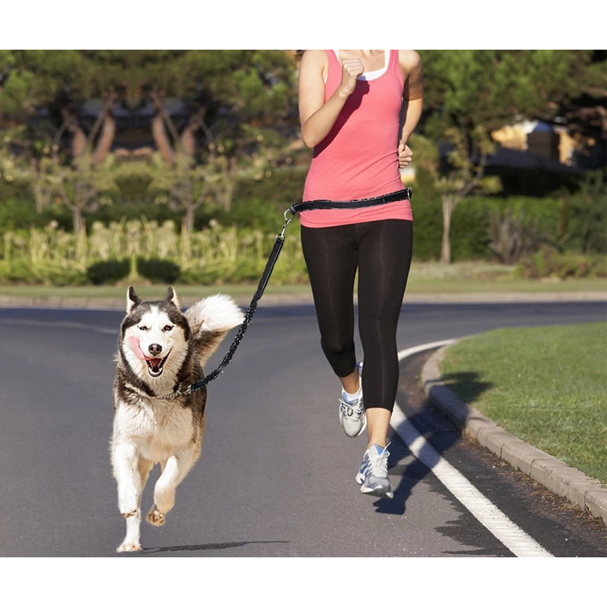 

Adjustable Dog Leash Waist Belt Hands Free Bungee Lead For Running Hiking Walking Strong Stainless Steel Connector Quick Release