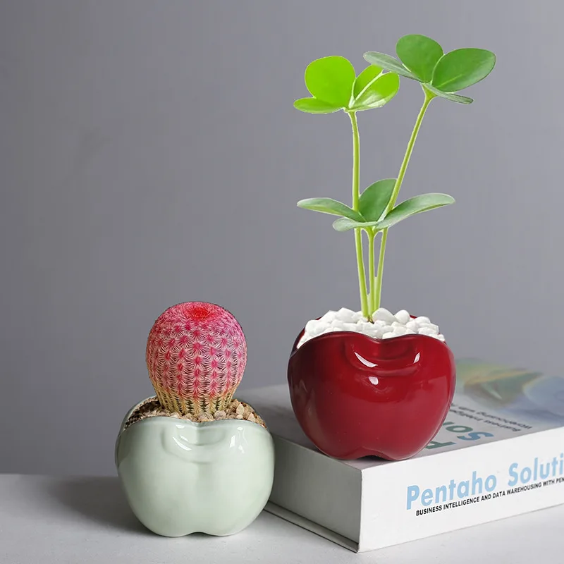 Cute Apple Bag Succulent Ceramic Flower Pot Meat Meat Green Plant Flower Device Creative Desktop Small Pot Breathable Ornament