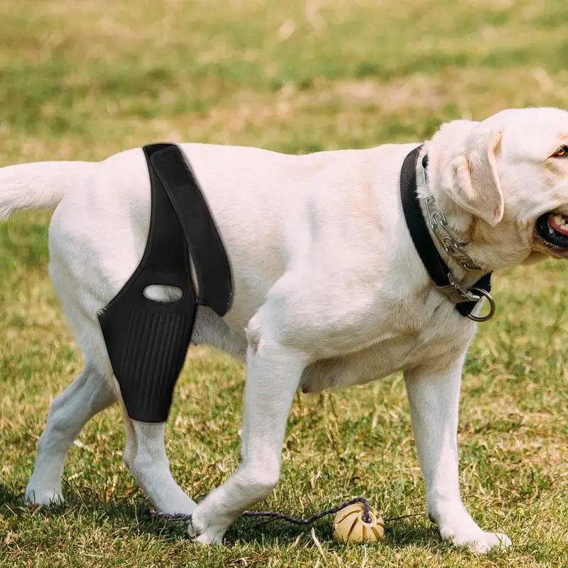 Dog Knee Brace Dog Hip Dysplasia Brace With 10 Support Sticks Comfortable Hip And Leg Protector Breathable For Small Senior And