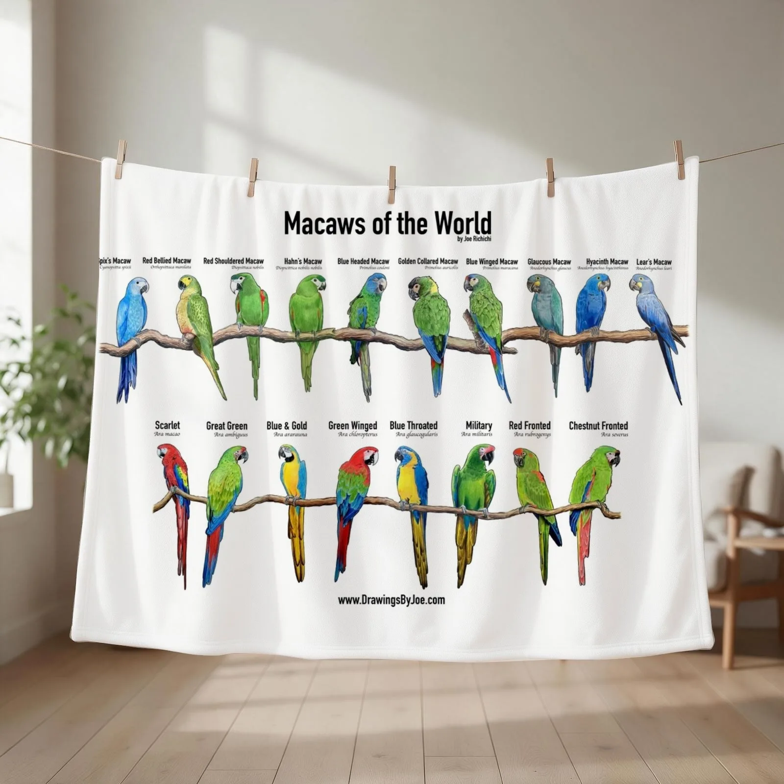 Macaws of the World Throw Blanket Blankets For Bed Custom Plaid on the sofa bed plaid Blankets
