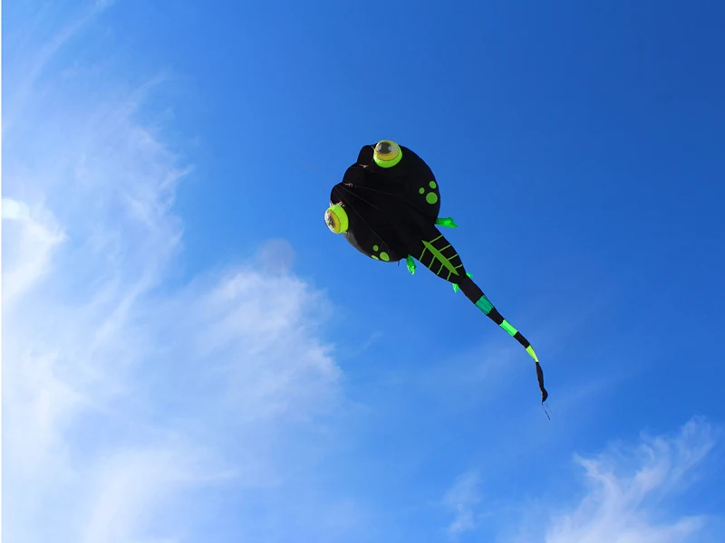 검은색 올챙이 연, 부드러운 나일론 천 연, 성인용 연, 전문가용 연, 대형 풍선 연, 트롬포