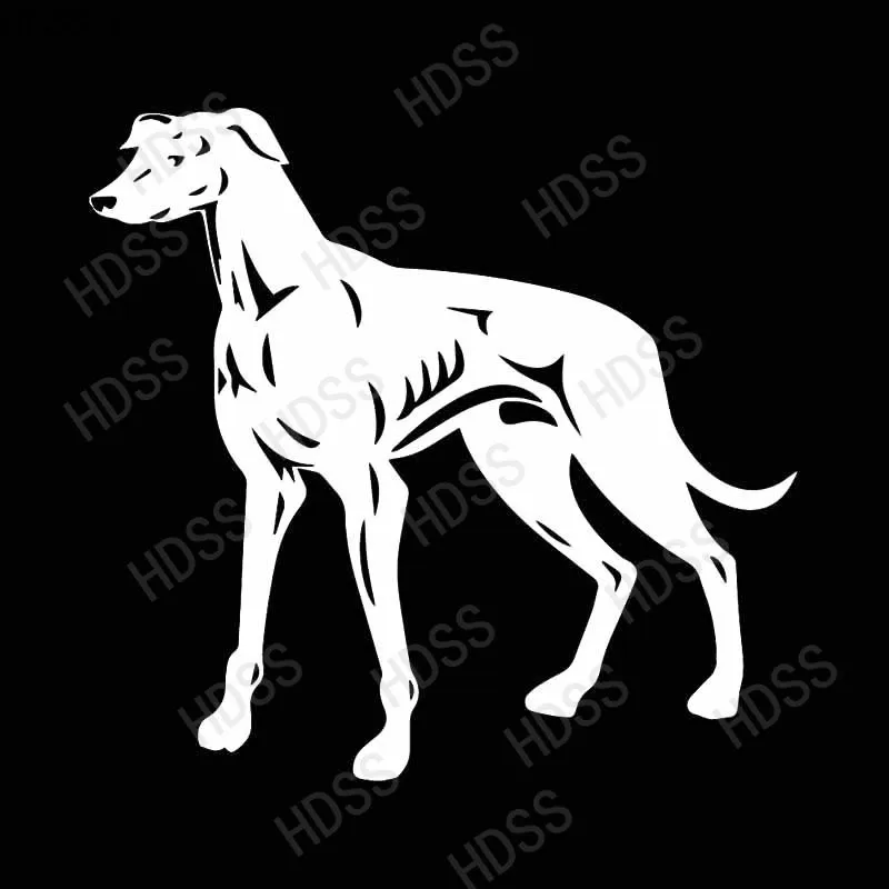 HDSS  Greyhound Dog  Car Stickers Funny Vinyl  Animal Stickers Windshield Stickers Motorcycle Helmet Laptop Decorative  PVC