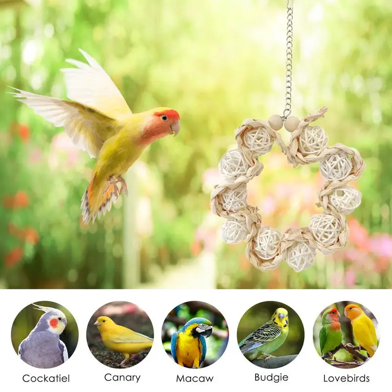 Parakeet Toys Swing Parakeet Toy Bird Foraging Conure Toy Ball Sepak Takraw Hangable Natural For Parrot Bird Budgie Conure