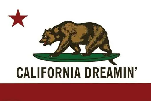 CALIFORNIA DREAMIN POSTER Amazing State Flag RARE HOT NEW 24x36