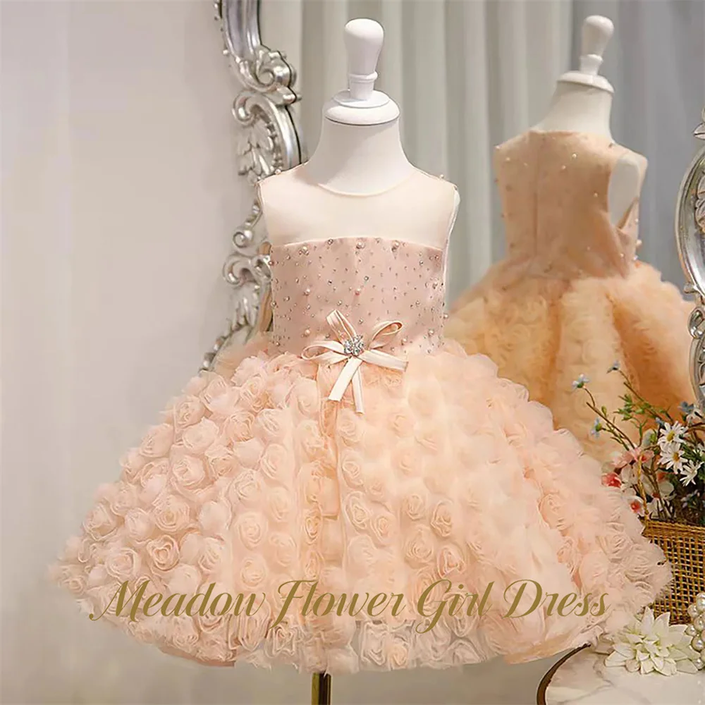Meadow Blush Pink Children Birthday Wedding Gown Round Neck 3D Flower Ball Gown Party Tutu Gown Sleeveless First Communion Dress