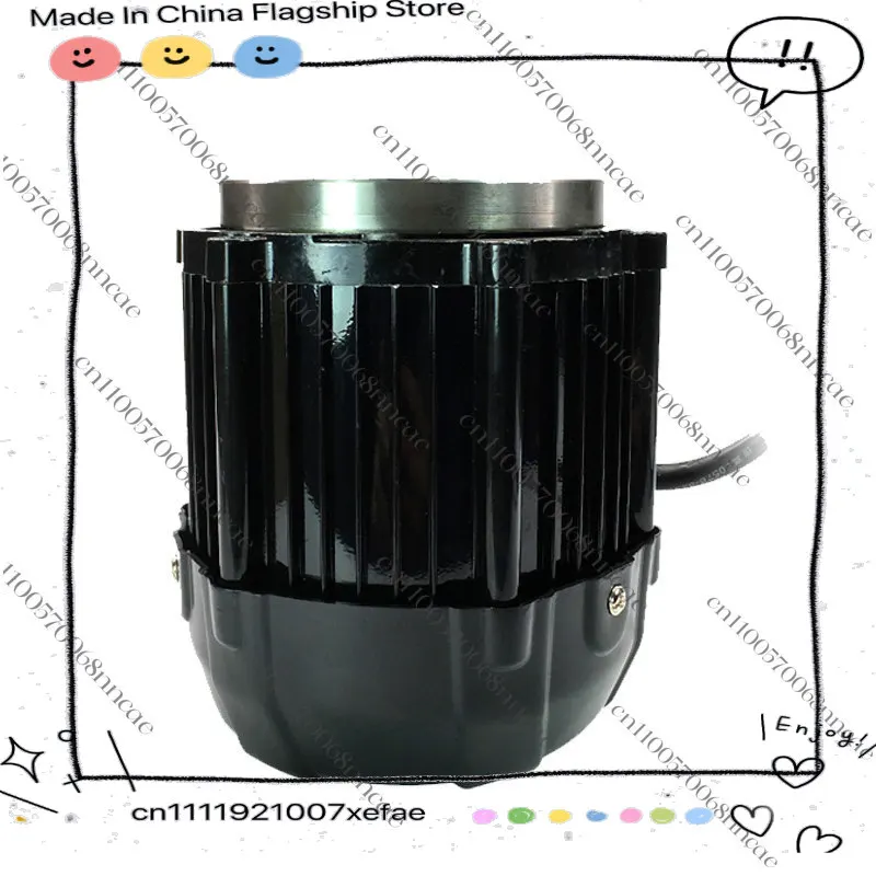 48V1000W Brushless Motor Electric Thruster Outboard Marine Motor Parts