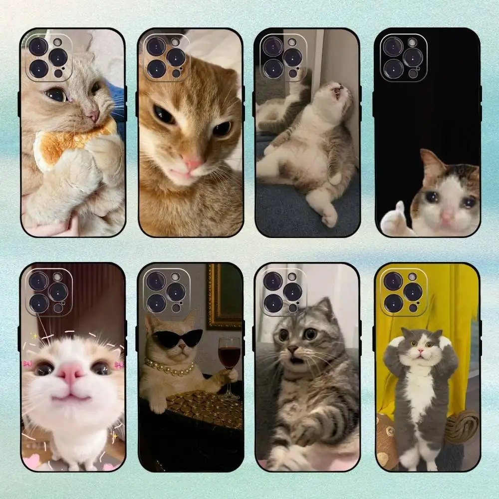 

Funny Cat Memes Phone Case For iPhone17,16,15,14,13,12,11 Plus,Pro Max Soft Black Cover