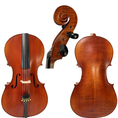 Rare Professional song maestro 5 Strings Cello 4/4, Stradivarius Model #15316