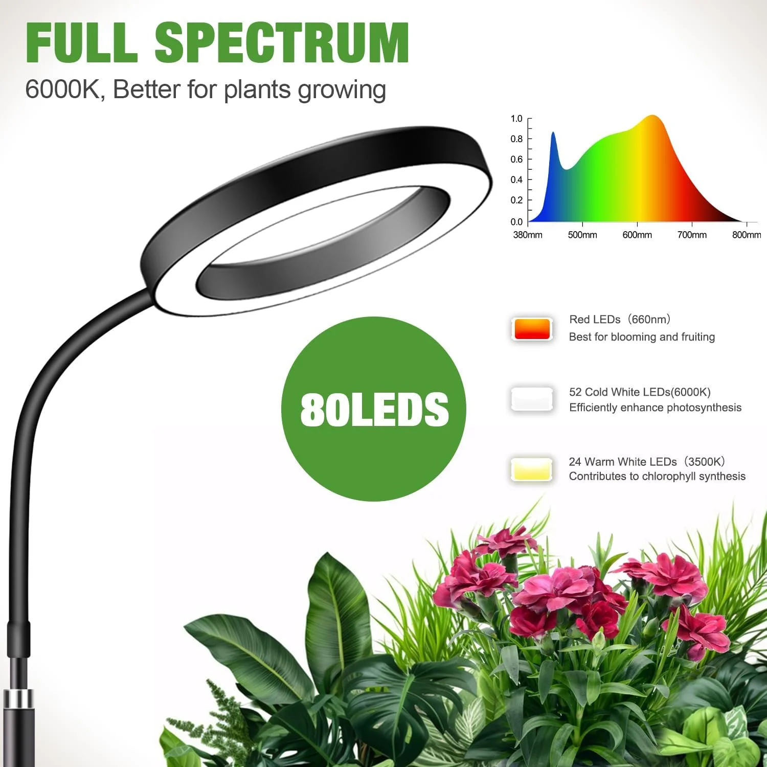 Plant Light for Indoor Plants Growing Full Spectrum Desk Grow Lamp with Pedestal Automatic Timer for 3H/9H/12H 10Dimmable Levels