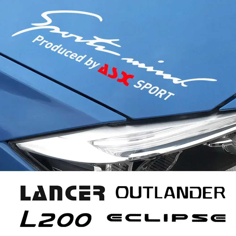 Vinyl Car Head Eyeb…