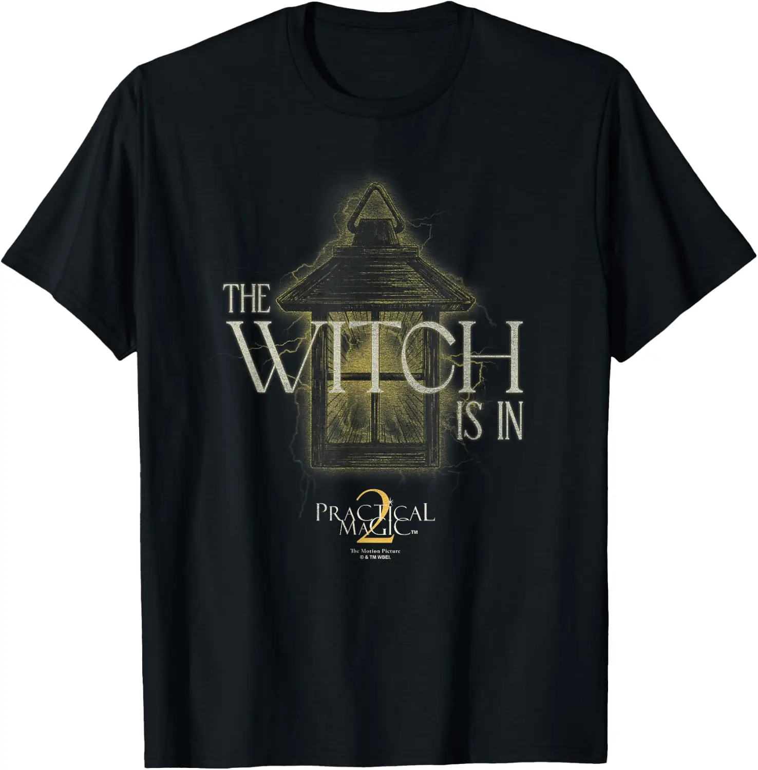 2 The Witch Is In T-Shirt Men Women Unisex Novelty Graphic T‑Shirt, Classic Crew Neck 100% Cotton Tee, Lightweight Anti‑Pilling Breathable Casual Tops, Year‑Round Daily Outfit, Holiday Birthday Present Tee