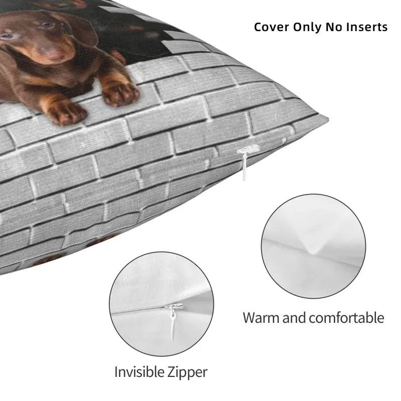 Dachshund Dog In Cement Brick Pillow Case 40x40cm for Sofa Badger Wiener Sausage Modern Cushion Cover Velvet Pillowcase