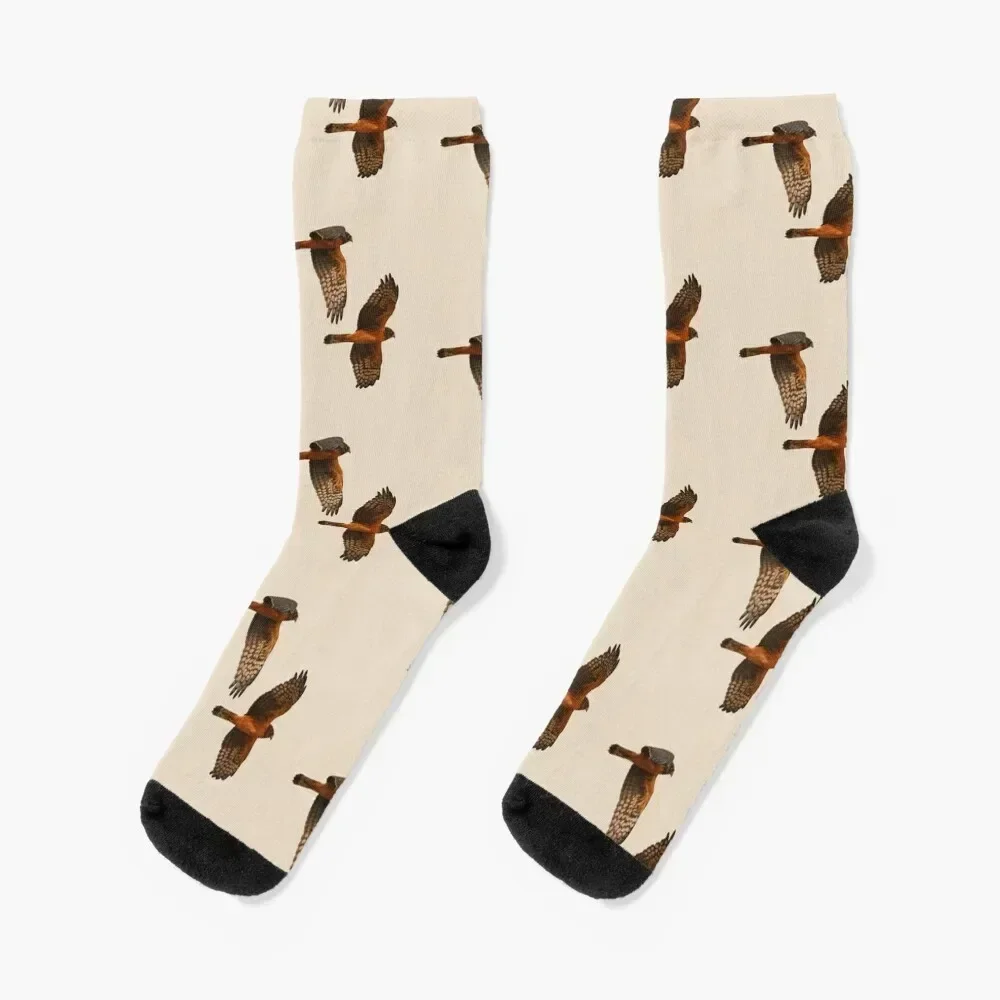 Harrier Hawks Socks kawaii floral Boy Socks Women's