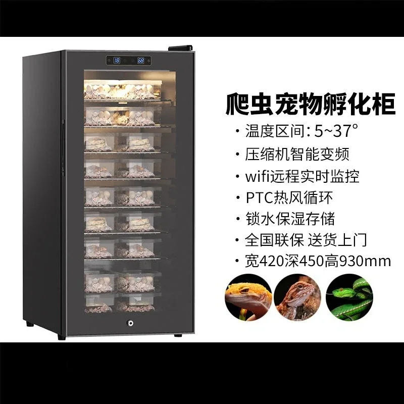 Incubator, turtle palace incubation machine, pet incubator