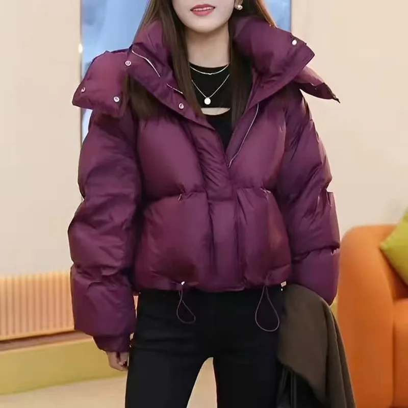2024 Autumn Winter New Design Sense Down Cotton-Padded Jacket Women\'s Foreign Style Hooded Short Thick Warm Coat Top Ladies Tide