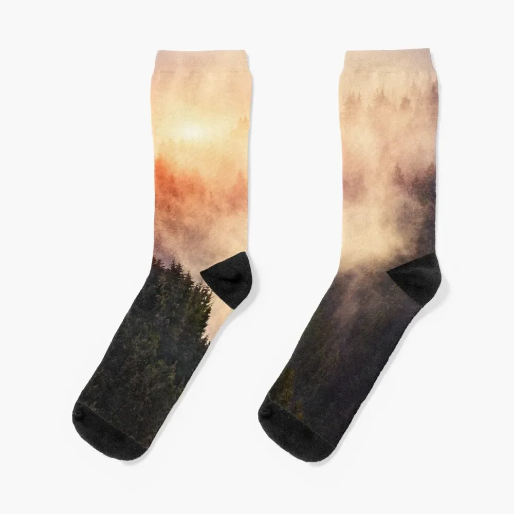 

In My Other World Socks compression shoes Designer Man Socks Women's