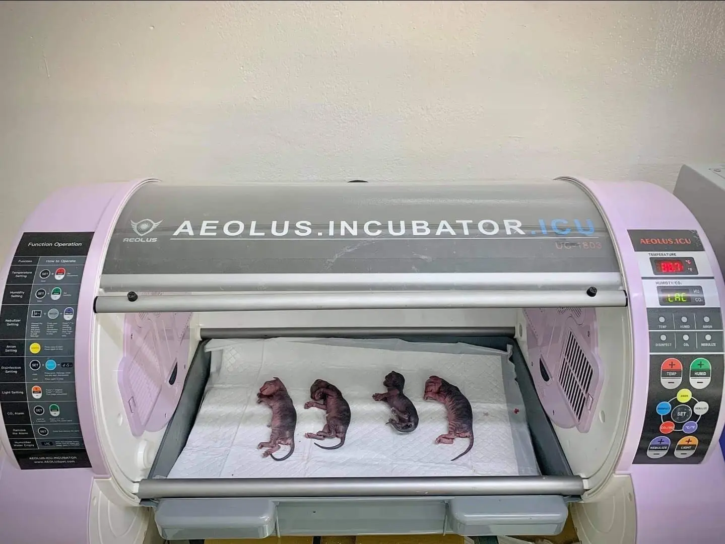 Aeolus Veterinary Pet Incubator | ICU Care for Puppies, Bulldogs & Small Pets