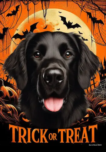 Flat Coated Retriever Black Trick or Treat Halloween Flag