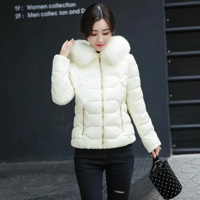 

Women's Winter Jacket Padding Down Cotton Jacket New Korean Fashion Parkas Hooded Short Fur Collar Coat Warm Winter Coat Women