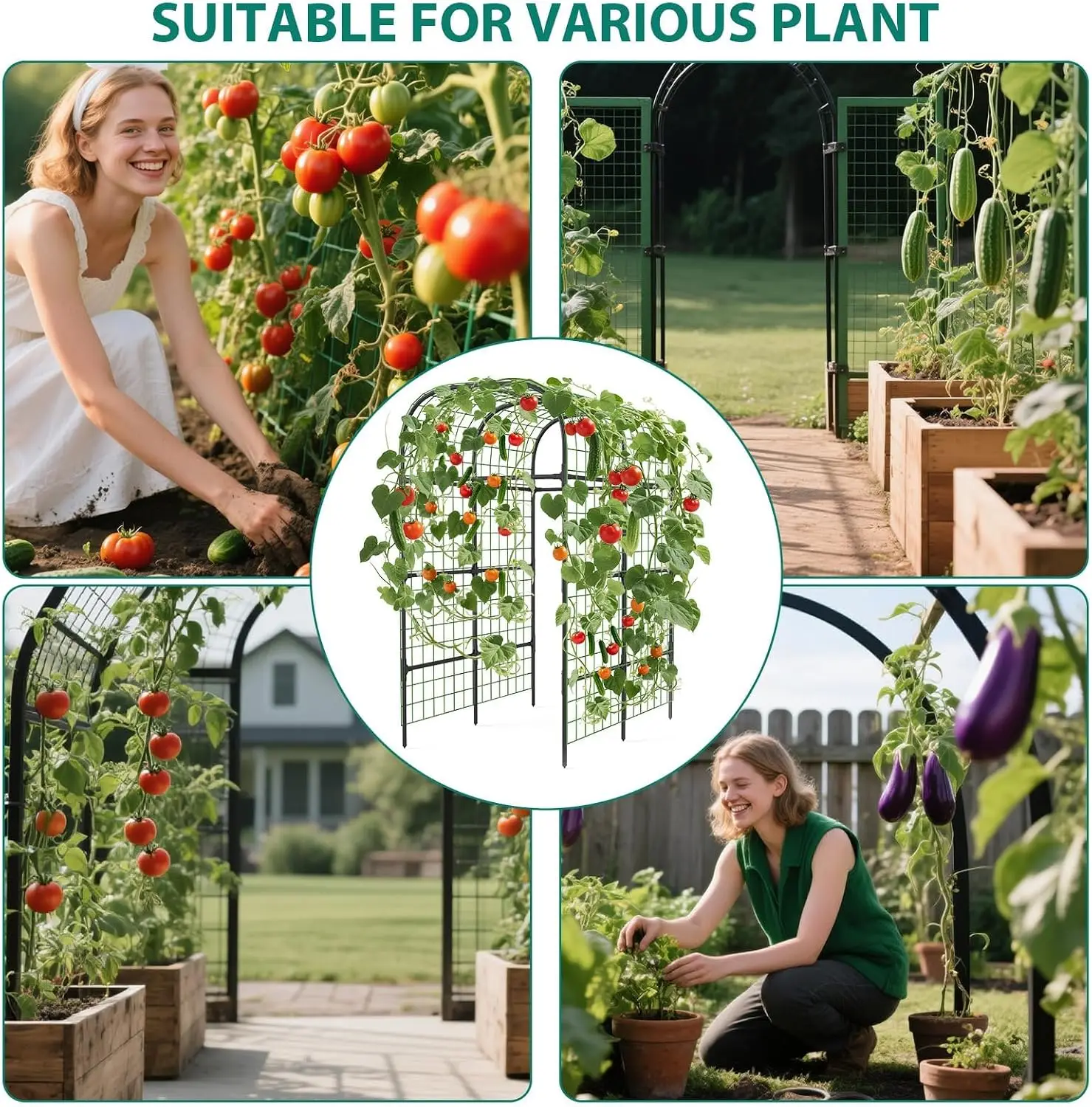 7.3 ft Pop Vegetable Plant Climbing Frame Kit Garden Arch Grow Supports Fit Climbing Rustproof Vine Cucumber Trellis Tomatoes Grapes Outdoor Trellis