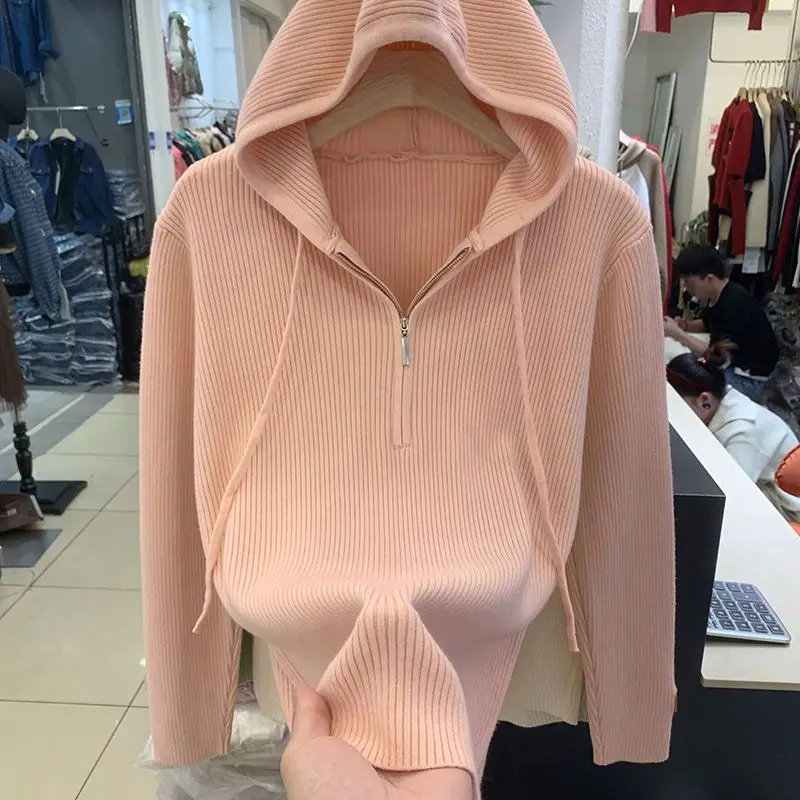 Korean Fashion Autumn Winter New Sweater Hoodies Women Solid Drawstring Zipper Long Sleeve Loose Casual Versatile Sweatshirts