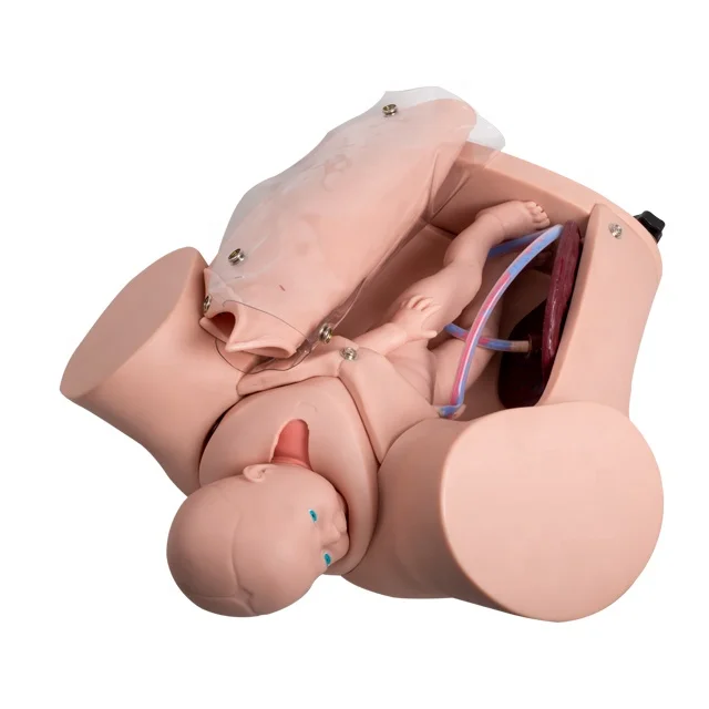 GD/F52 General Doctor Advanced Medical Childbirth Simulator