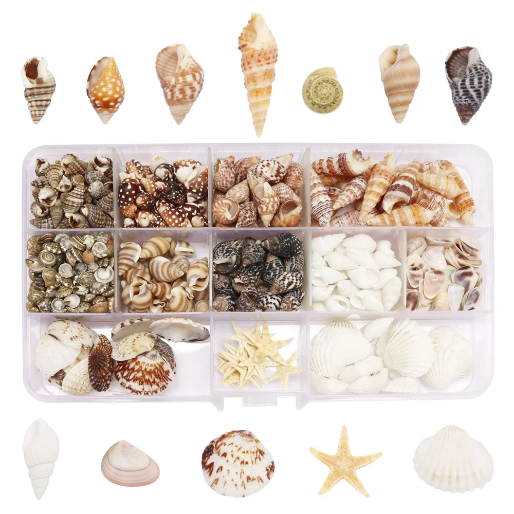 

Tiny Sea Shells Spirals Ocean Shell Crafts Aquarium Landscaping Accessories Photography Props 1 Box