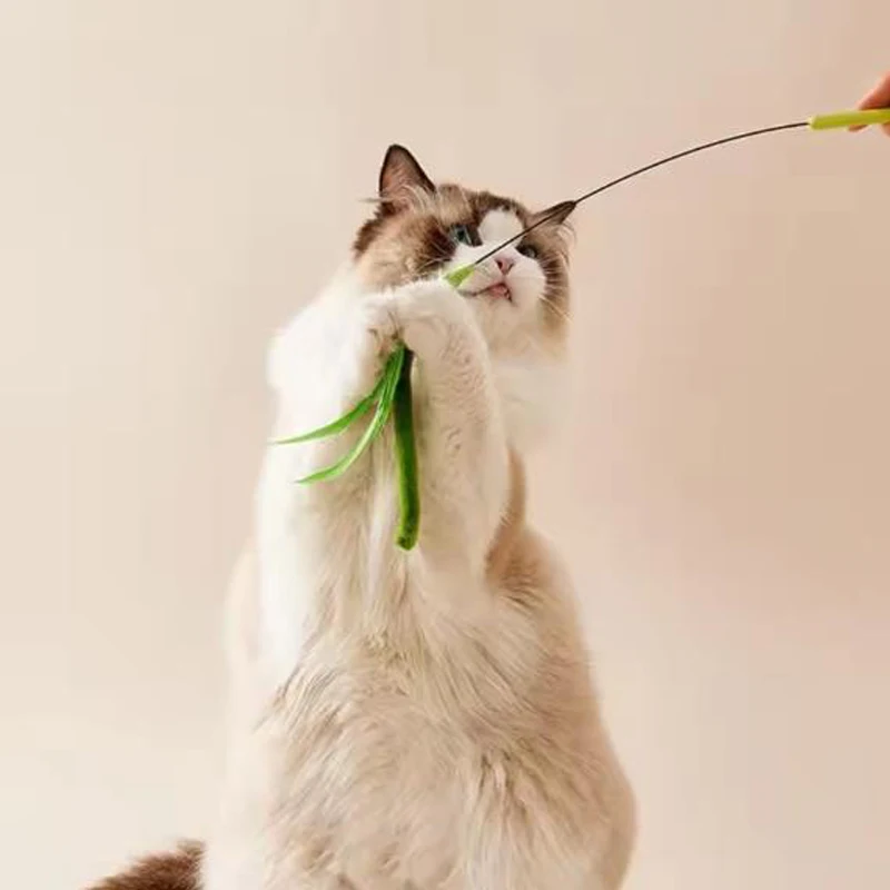 New Cat Toys, Dog Tail Grass Teasing Cat Pole Feather Pole Wire Cat Toys, Feather Pole, Flexible Wire Durable Pet Supplies image 4
