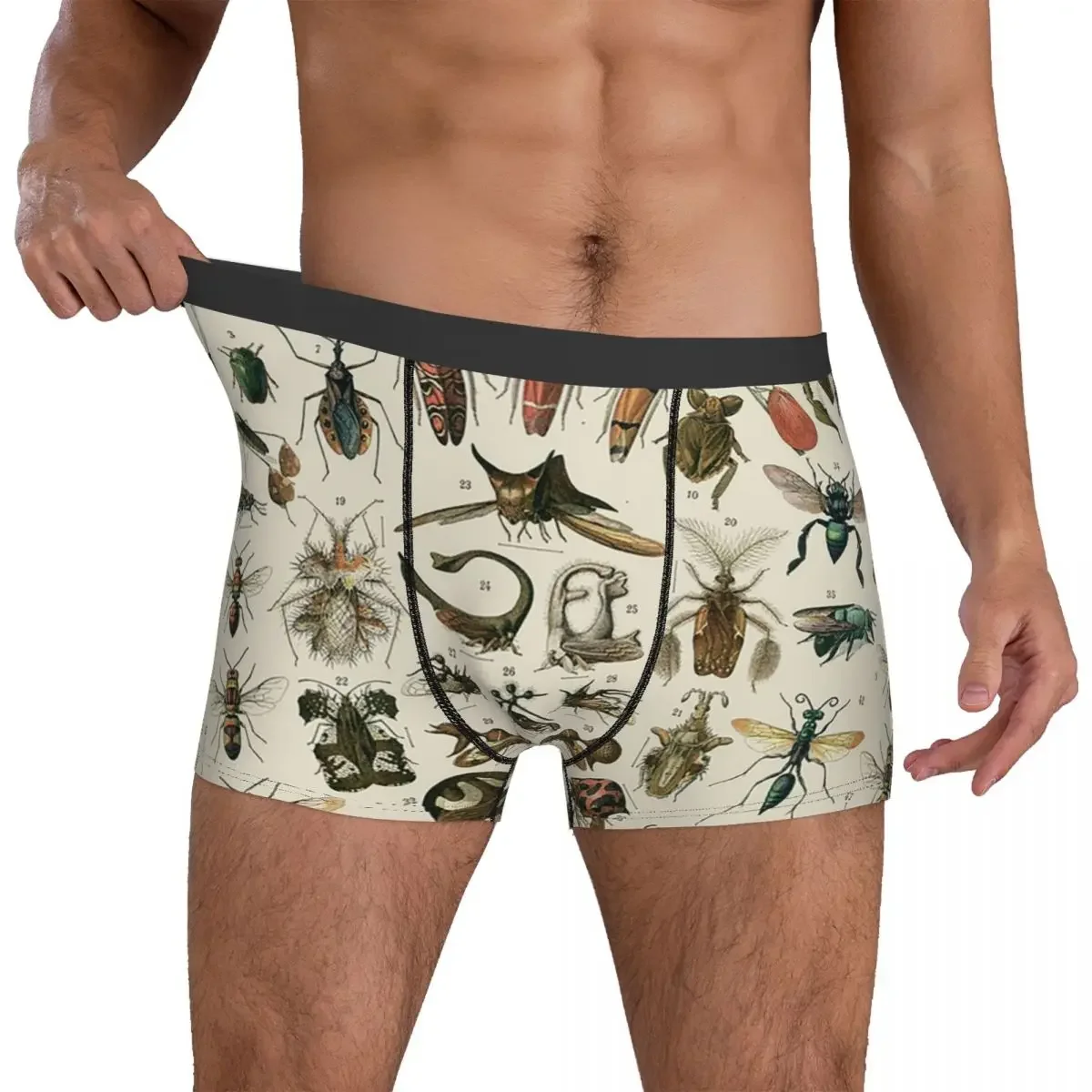 Calzoncillos bóxer para hombre, ropa interior suave con 2 bragas de insectos, regalo para novio