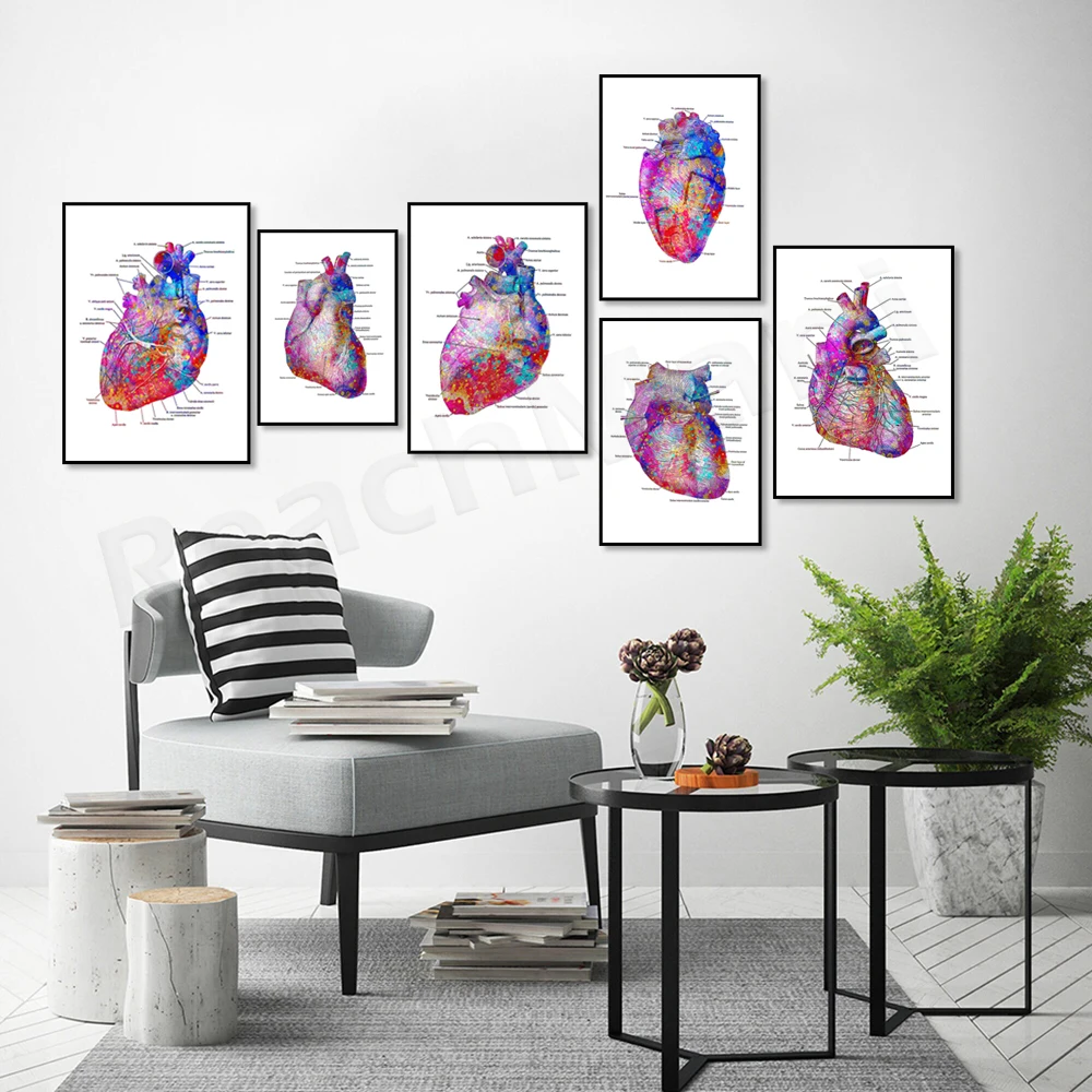 Colorful Heart Anatomy Poster, Physiological Art, Medical Artwork, Cardiology Art, Cardiovascular Surgeon Gift, Cardiothoracic