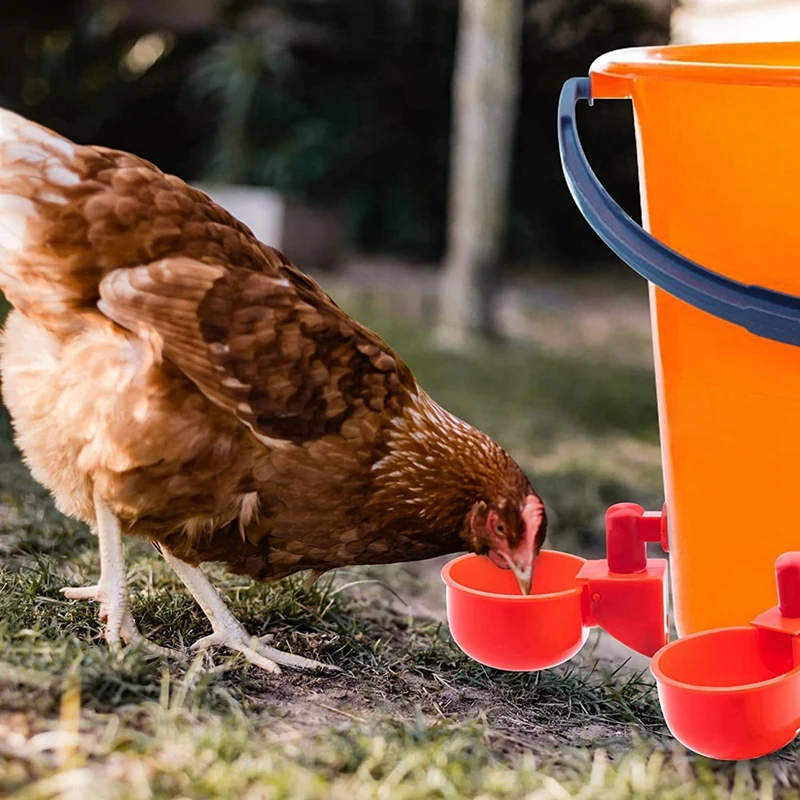 Chicken Feeder 3/8 Inch Thread Automatic Filling For Poultry Watering For Chicken Duck Turkey