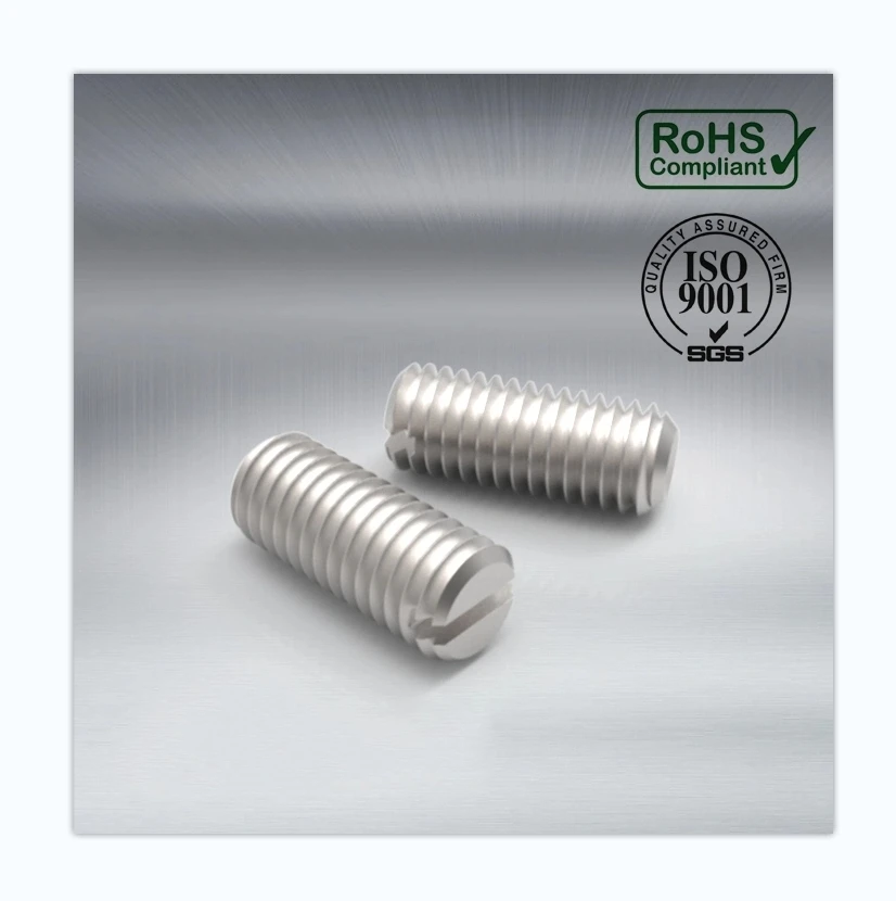 DIN 438 Slotted Set Screws with Cup Piont  FOB Price US$0.10-5.00 / Piece 10,000 Pieces (MOQ)