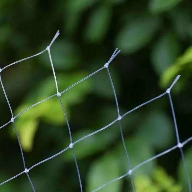 Transparentes Balkonnetz, Katzenschutz, Haustier-Schutznetz gegen Stürze, für Fenster, Balkone, Haus-/Straßentiere, Gemüse und Obst – Detail 9