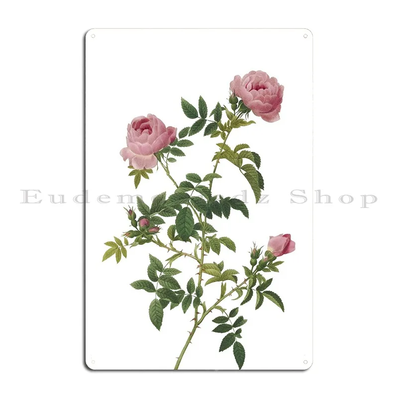 Rose Of The Hedges Metal Plaque Poster Mural Club Cinema Customize Bar Tin Sign Poster